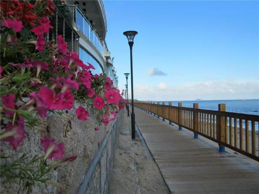 三個(gè)廈大人，做一個(gè)最廈門最廈大的民宿夢(mèng)