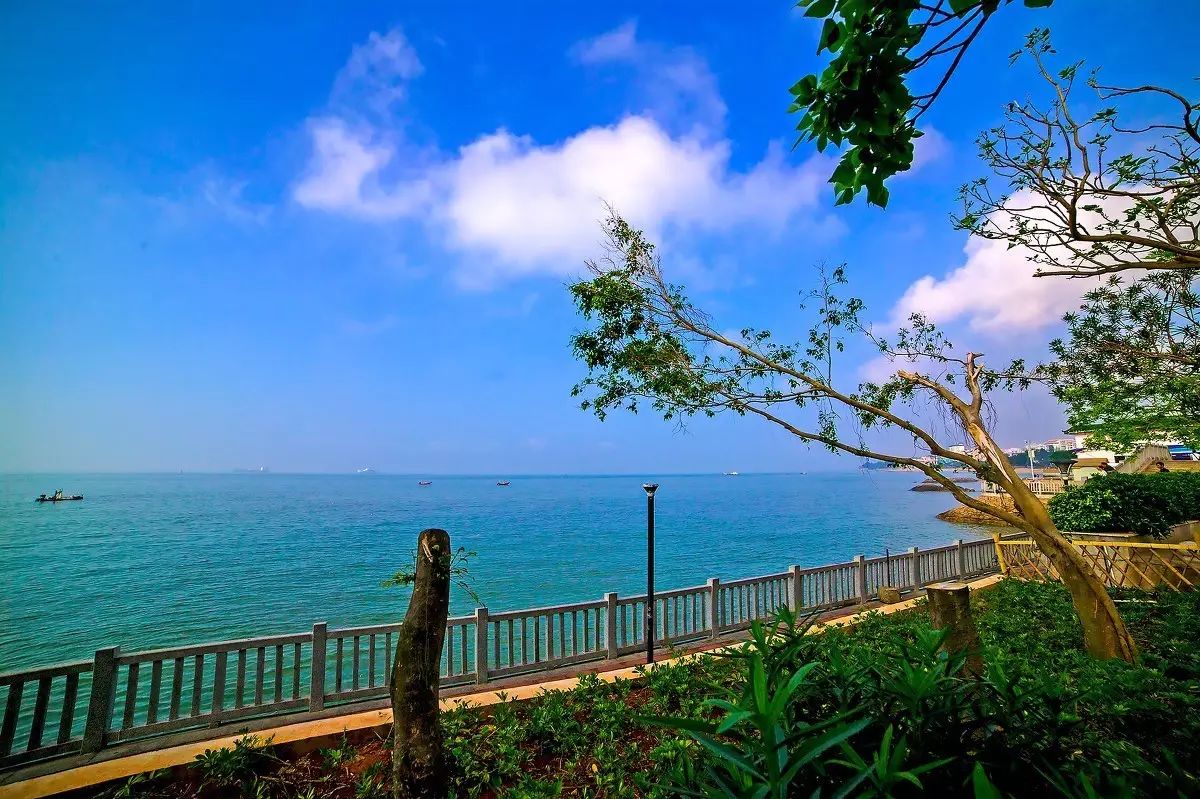 三個(gè)廈大人，做一個(gè)最廈門最廈大的民宿夢(mèng)