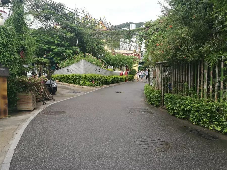 三個(gè)廈大人，做一個(gè)最廈門最廈大的民宿夢(mèng)