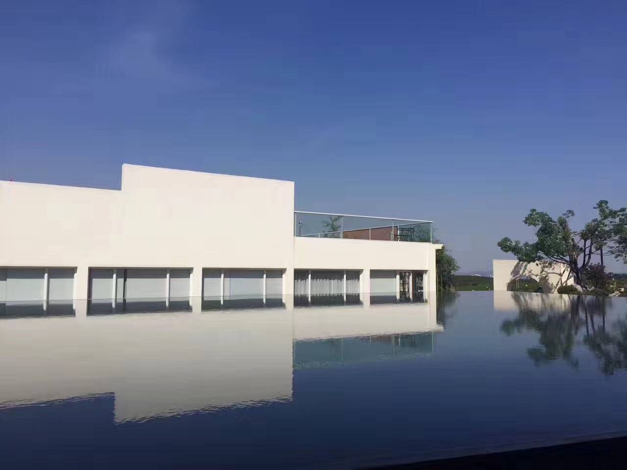 茗墅茶莊園，西湖以外的西湖