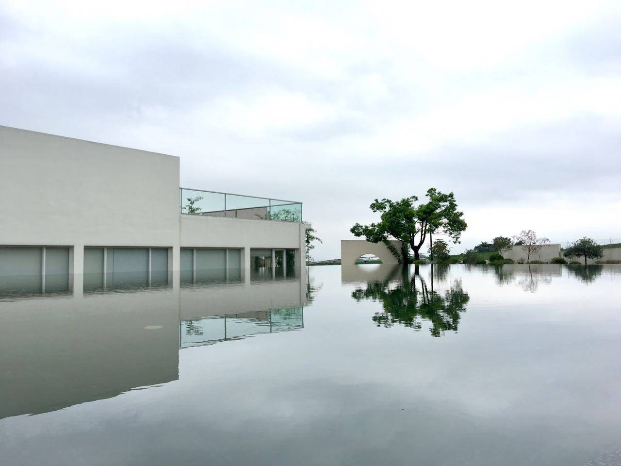 茗墅茶莊園，西湖以外的西湖
