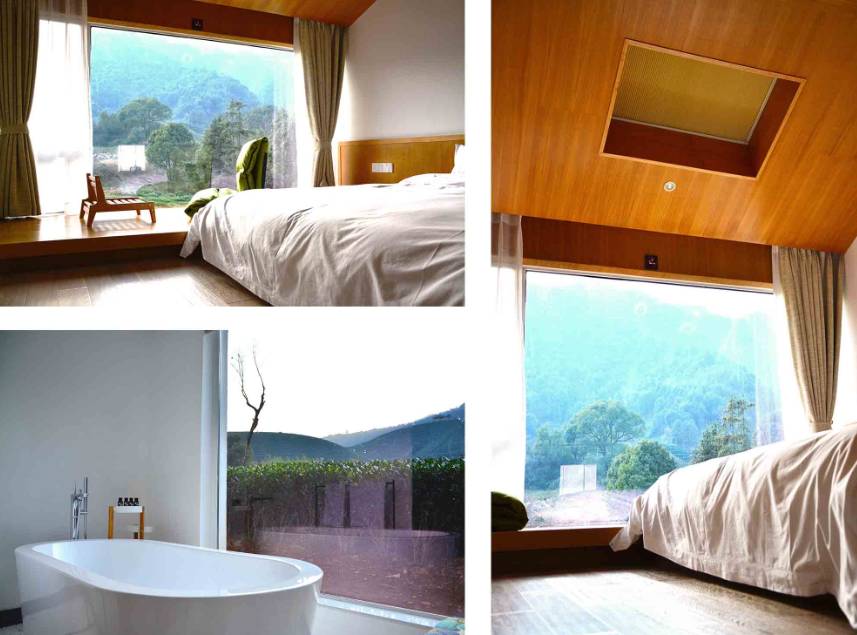 茗墅茶莊園，西湖以外的西湖