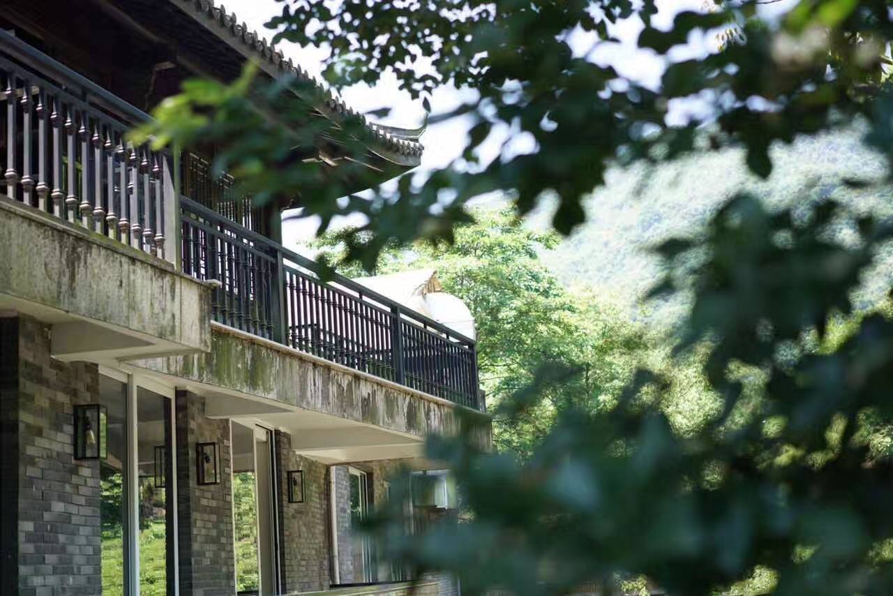 茗墅茶莊園，西湖以外的西湖