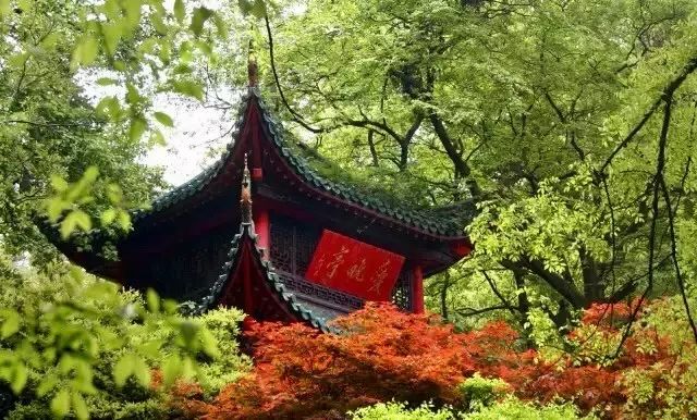 亭·停，唯美的亭臺樓閣