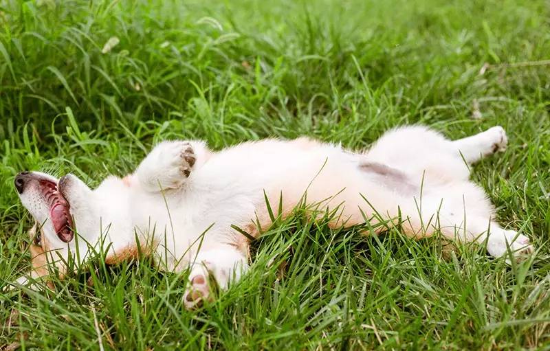 北京金岳臺溫泉酒店，承載著上個世紀的老磚樓