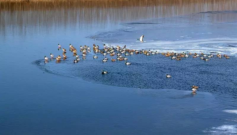 北京金岳臺溫泉酒店，承載著上個世紀的老磚樓