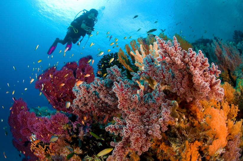 東極島·梵嶼，向往藍(lán)色自由守護(hù)心中美好的島嶼