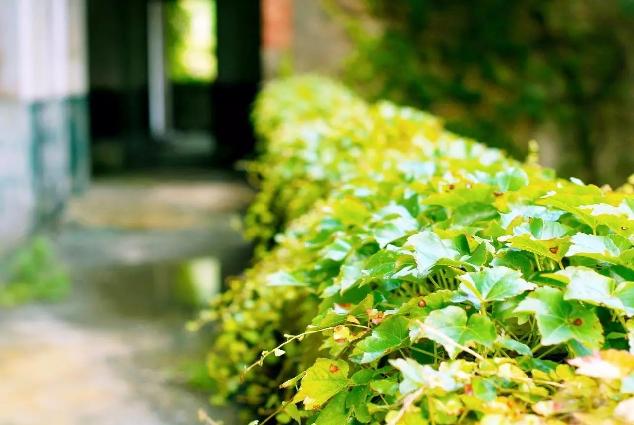 東極島·梵嶼，向往藍(lán)色自由守護(hù)心中美好的島嶼