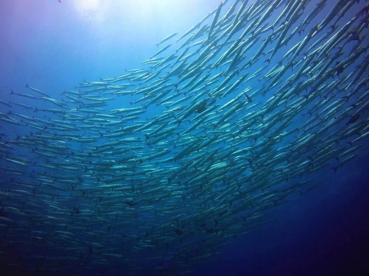 東極島·梵嶼，向往藍色自由守護心中美好的島嶼