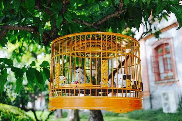 中國的四合院，才是真正的豪宅!