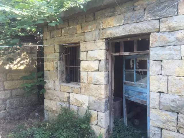 桃花源，有花為伴有茶糊口每一天都是美好光陰