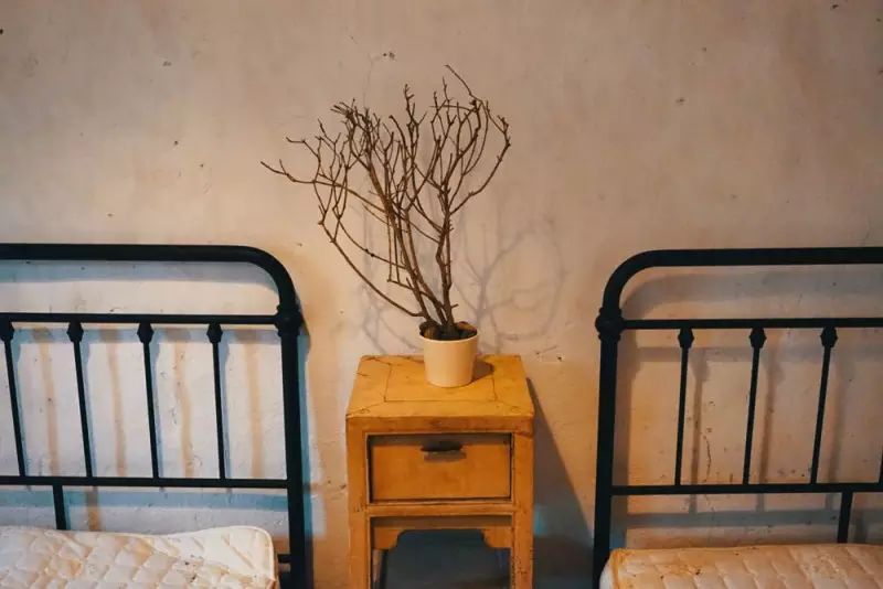 桃花源，有花為伴有茶糊口每一天都是美好光陰