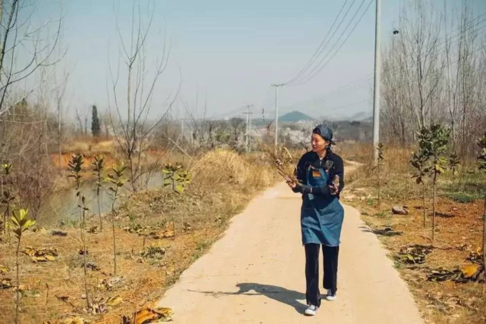 桃花源，有花為伴有茶糊口每一天都是美好光陰