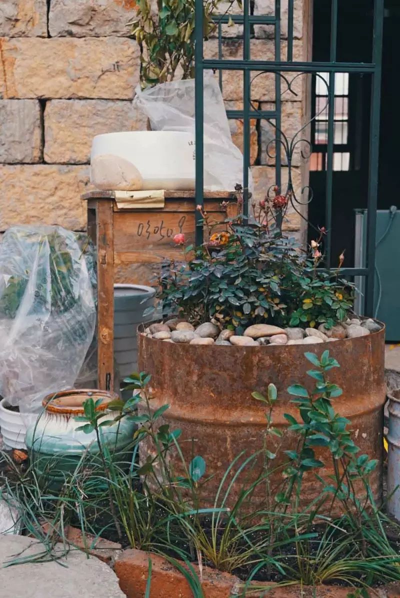 桃花源，有花為伴有茶糊口每一天都是美好光陰