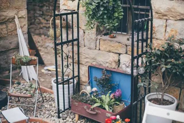 桃花源，有花為伴有茶糊口每一天都是美好光陰