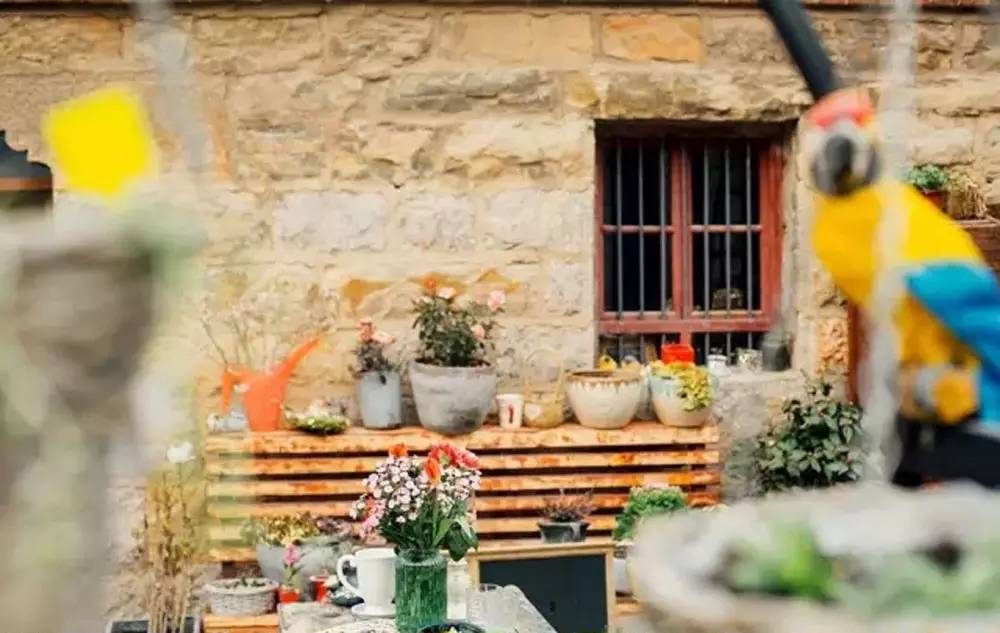 桃花源，有花為伴有茶糊口每一天都是美好光陰