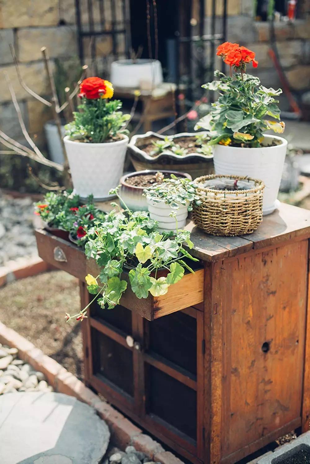 桃花源，有花為伴有茶糊口每一天都是美好光陰