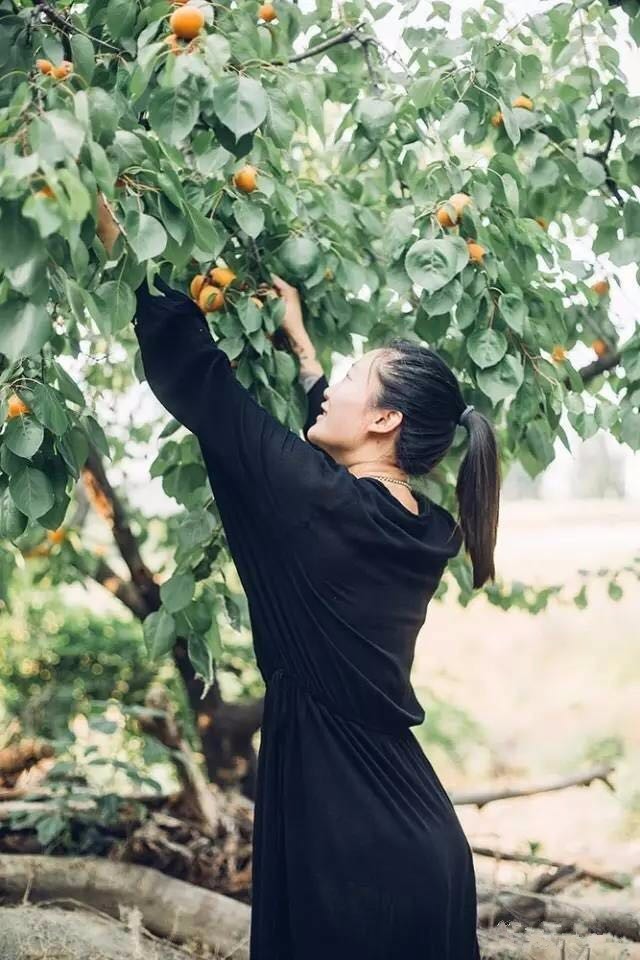 桃花源，有花為伴有茶糊口每一天都是美好光陰