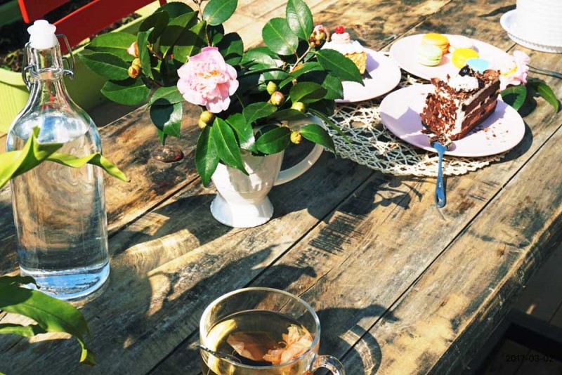 桃花源，有花為伴有茶糊口每一天都是美好光陰