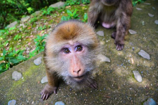 云門(mén)山居，雕琢廚藝隱居世外匠心如一
