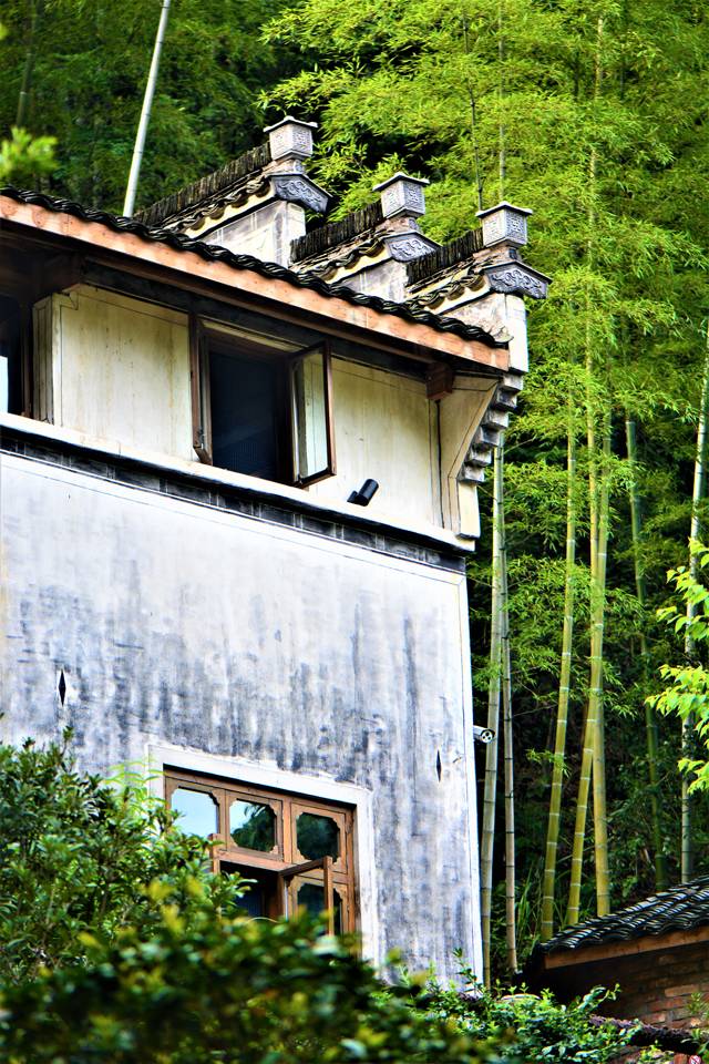 云門(mén)山居，雕琢廚藝隱居世外匠心如一