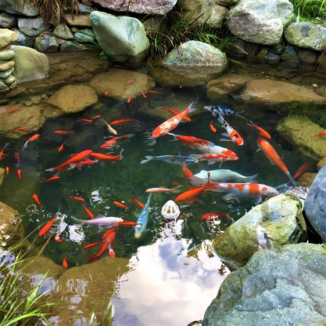 云門(mén)山居，雕琢廚藝隱居世外匠心如一