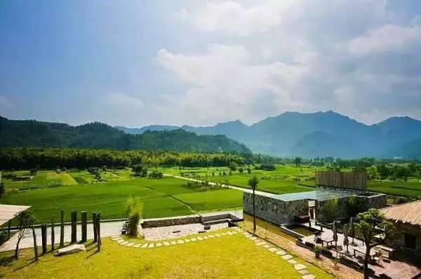 3間開(kāi)在稻田里的民宿，回歸自然向往田園風(fēng)光