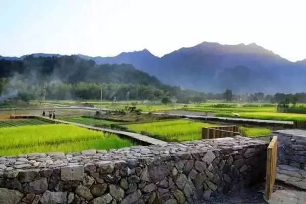 3間開(kāi)在稻田里的民宿，回歸自然向往田園風(fēng)光