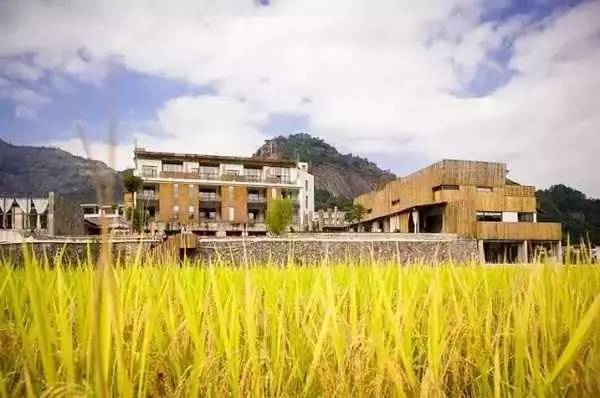 3間開(kāi)在稻田里的民宿，回歸自然向往田園風(fēng)光