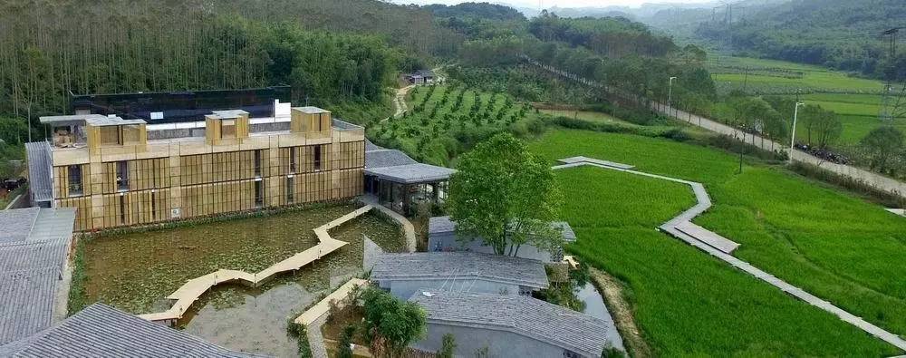 3間開在稻田里的民宿，回歸自然向往田園風(fēng)光