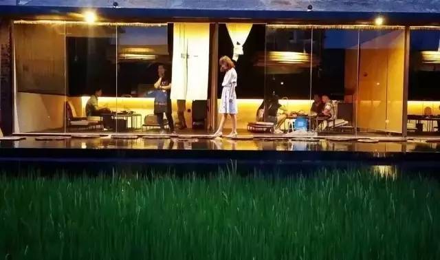 3間開(kāi)在稻田里的民宿，回歸自然向往田園風(fēng)光