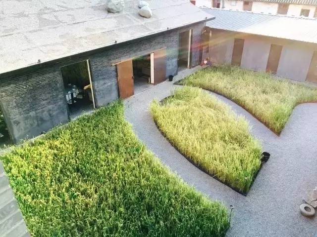 3間開(kāi)在稻田里的民宿，回歸自然向往田園風(fēng)光