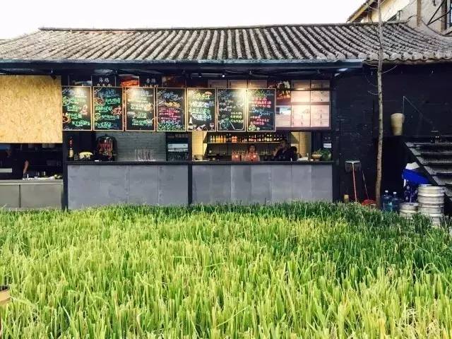 3間開在稻田里的民宿，回歸自然向往田園風光