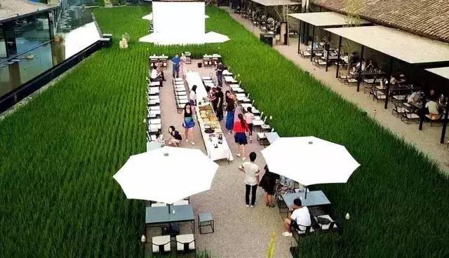 3間開在稻田里的民宿，回歸自然向往田園風光