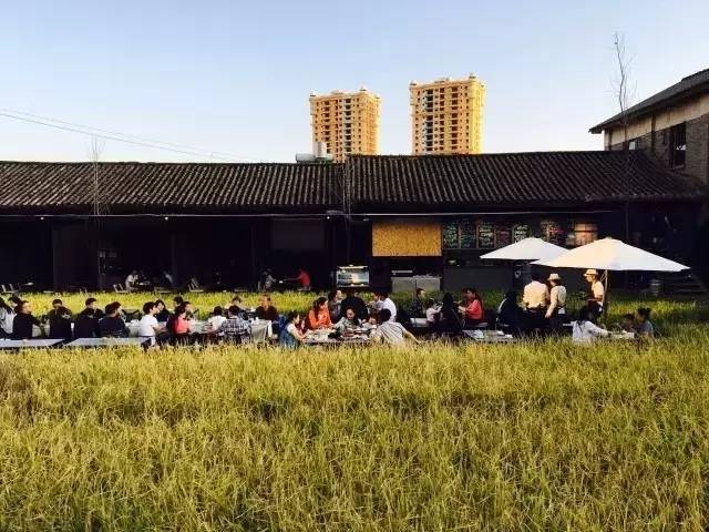 3間開在稻田里的民宿，回歸自然向往田園風(fēng)光