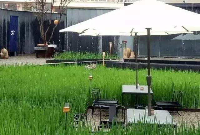 3間開在稻田里的民宿，回歸自然向往田園風(fēng)光