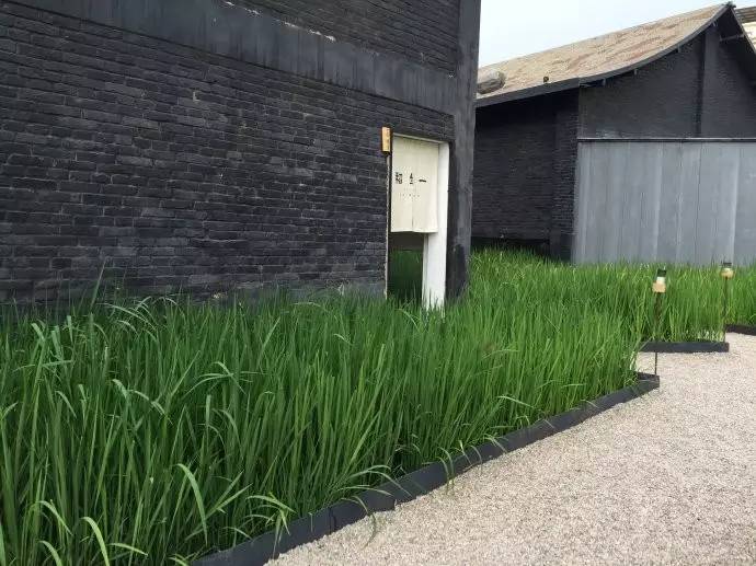 3間開在稻田里的民宿，回歸自然向往田園風(fēng)光