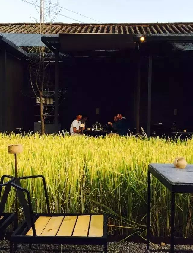 3間開在稻田里的民宿，回歸自然向往田園風光