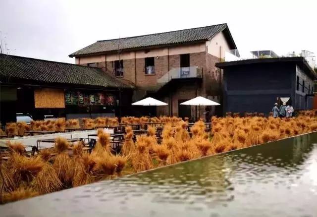 3間開在稻田里的民宿，回歸自然向往田園風光