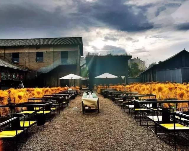 3間開在稻田里的民宿，回歸自然向往田園風光