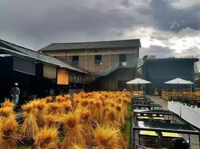 3間開在稻田里的民宿，回歸自然向往田園風光