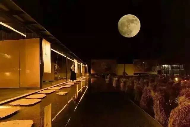 3間開在稻田里的民宿，回歸自然向往田園風光