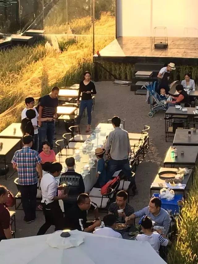 3間開在稻田里的民宿，回歸自然向往田園風光