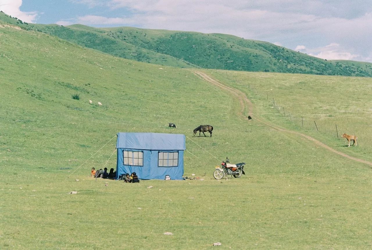 大理密嚴(yán)，繁花盛放找尋已久的內(nèi)心凈土
