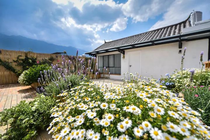 大理密嚴(yán)，繁花盛放找尋已久的內(nèi)心凈土