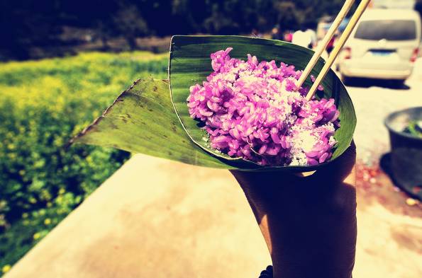 壩美·歸園，隱居聽(tīng)心歸于自然盡享鄉(xiāng)村野趣