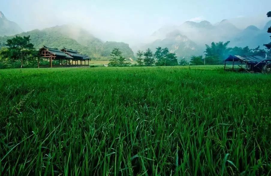 壩美·歸園，隱居聽心歸于自然盡享鄉(xiāng)村野趣