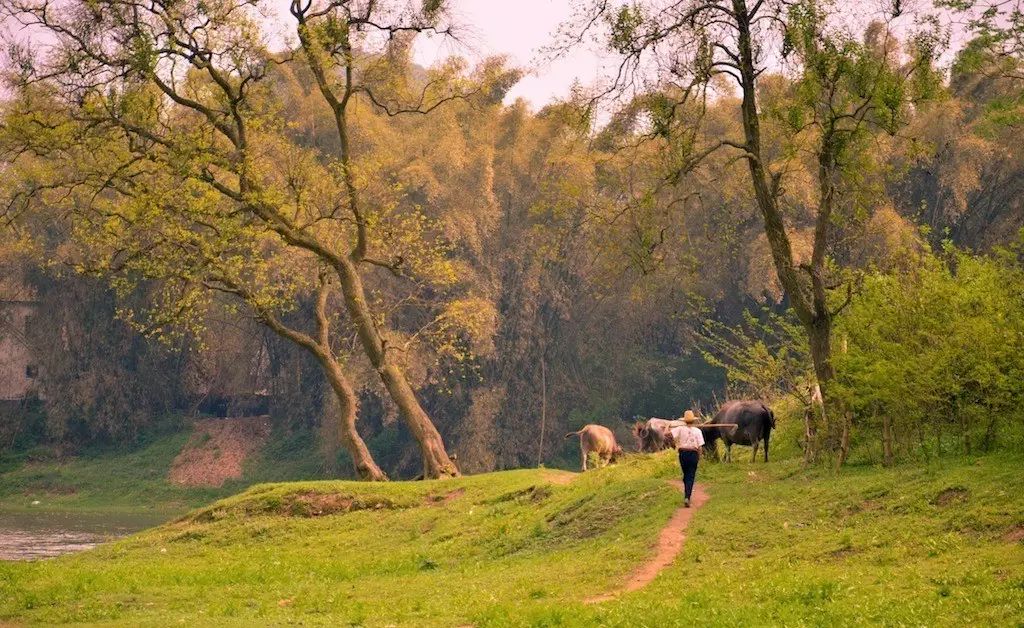 云澗阡陌·野望，特色度假小鎮(zhèn)體驗親子主題民宿