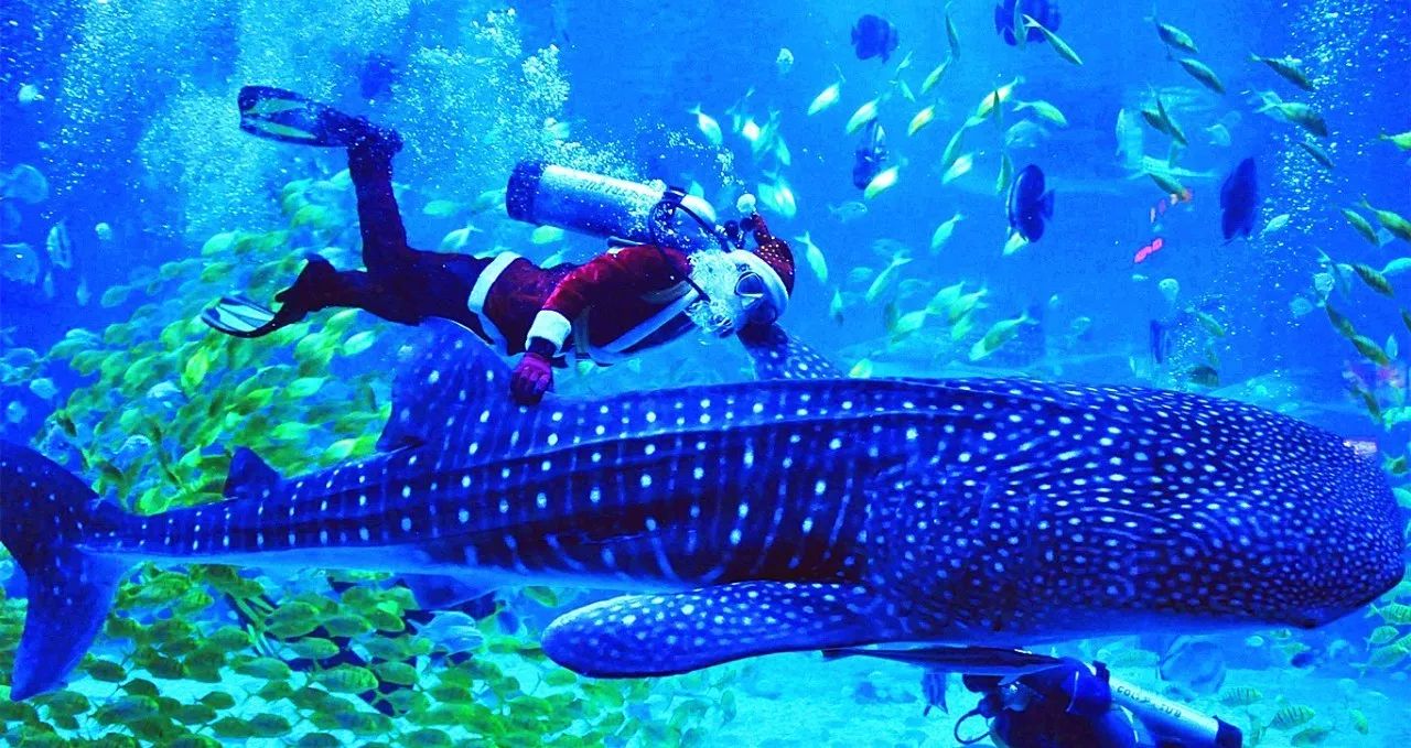 煙臺·極客客棧，歡迎每一顆想要逃離的心