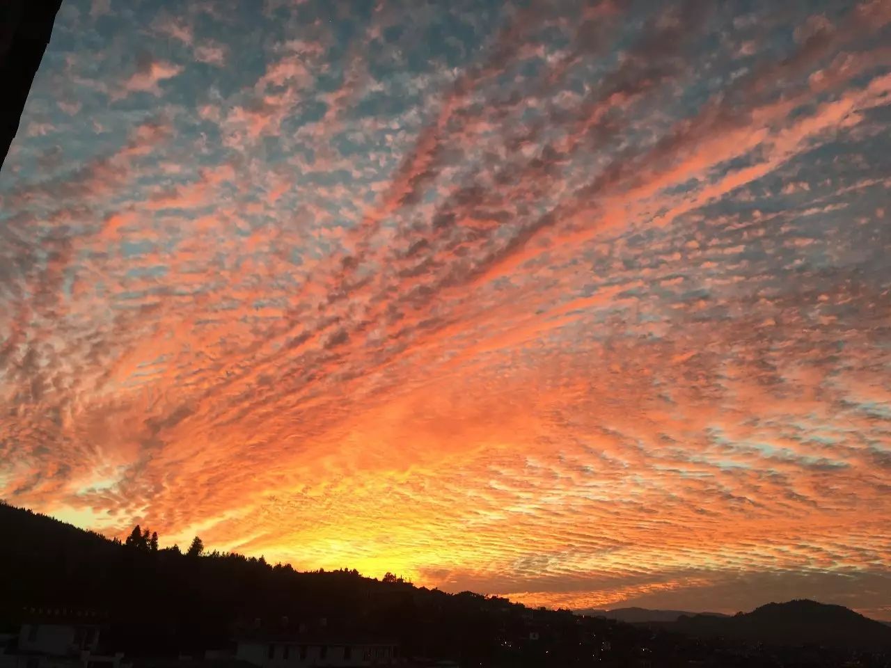 安之若宿，像家一樣既來之則安之